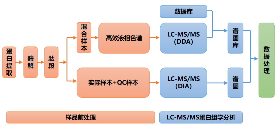 欧博体育_欧博平台_欧博官网登录-欧博APP